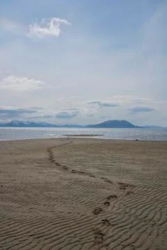 Footprints on an empty beach Stock Photos