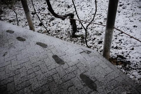 Footprints on a first snow in yard Stock Photos