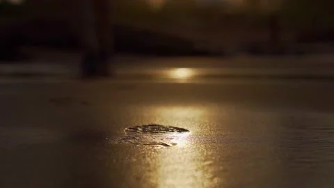 FOOTPRINTS Stock Footage 195296622