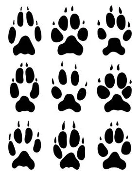 Footprints of foxes Stock Illustration