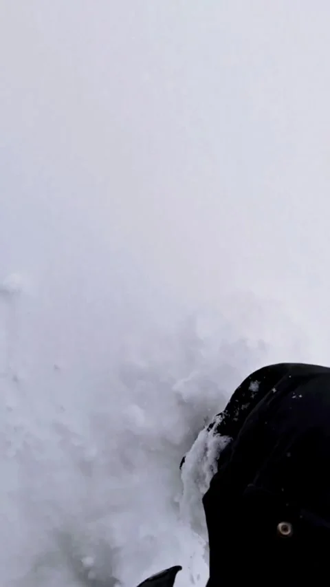 Footprints in fresh snow in a winter forest. Stock Footage 306216613