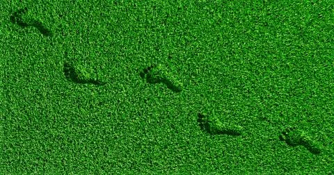 Footprints on the grass Stock Illustration