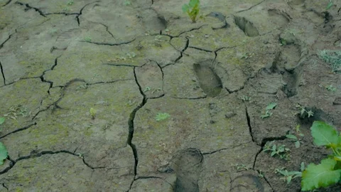 Footprints on the ground Stock Footage 88623167