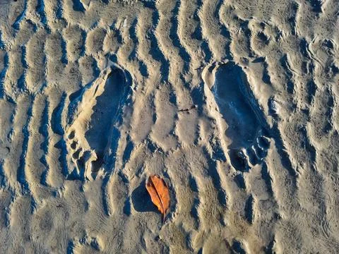 Footprints of human Fotos Stock