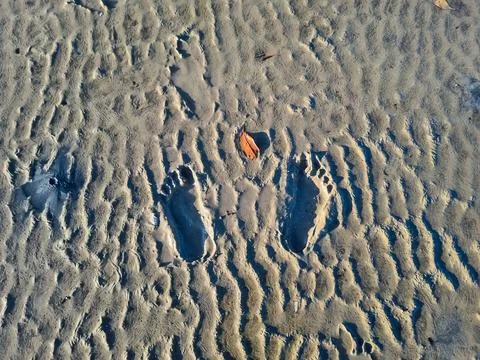 Footprints of human Stock Photos
