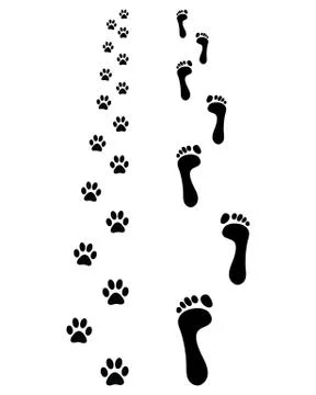 Footprints Stock Illustration