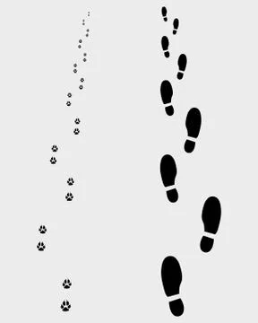 Footprints  Stock Illustration