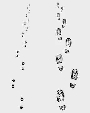 Footprints  Stock Illustration
