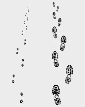 Footprints Stock Illustration