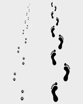 Footprints  Stock Illustration