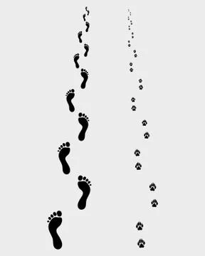 Footprints Stock Illustration
