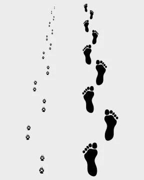 Footprints Stock Illustration