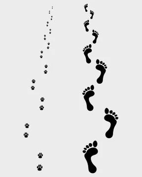 Footprints Stock Illustration