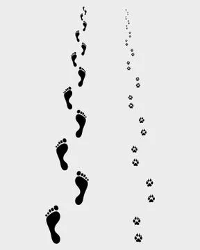 Footprints Stock Illustration