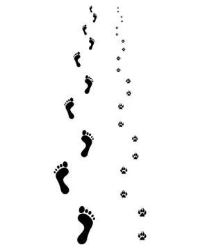 Footprints Stock Illustration