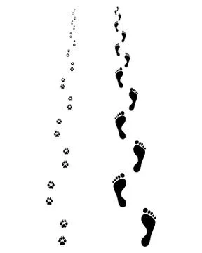 Footprints Illustrazione stock