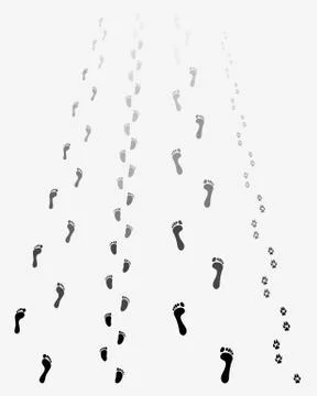Footprints Stock Illustration