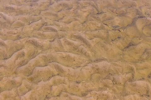 Footprints left pro in the sand Stock Photos