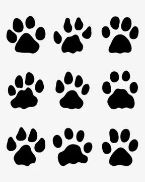 Footprints of lions Stock Illustration