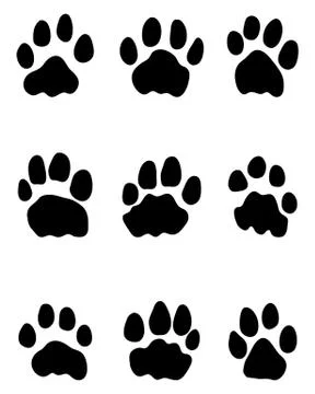 Footprints of lions Stock Illustration
