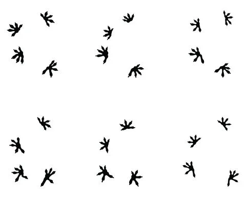 Footprints of lizard Stock Illustration