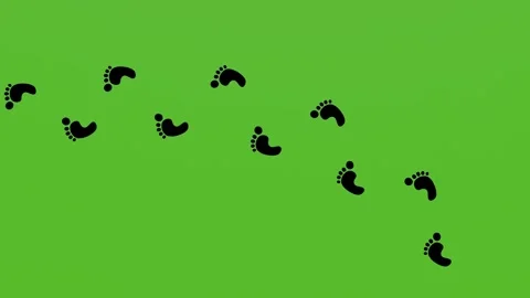 Footprints of a man walking on a green screen with his bare feet. 2d animation. Stock Footage 281354138