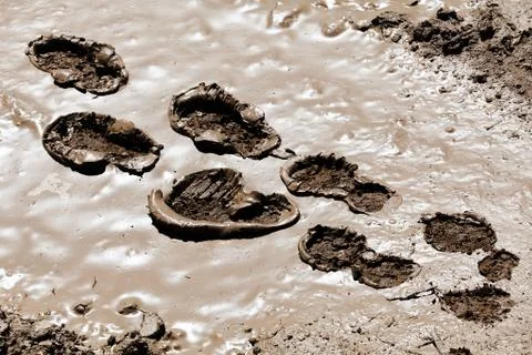 Footprints in the mud Stock Photos