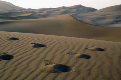 Footprints Stock Photos