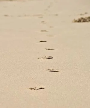 Footprints Stock Photos