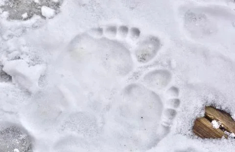 Footprints Stock Photos
