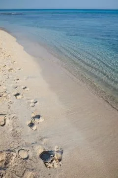 Footprints Stock Photos