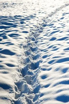 Footprints Stock Photos