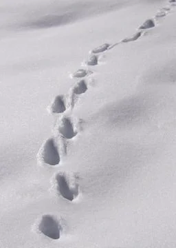 Footprints Foto stock