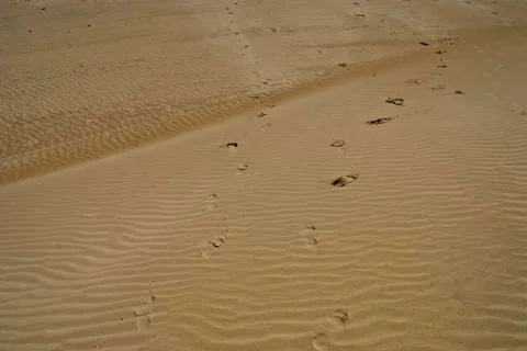 Footprints Stock Photos