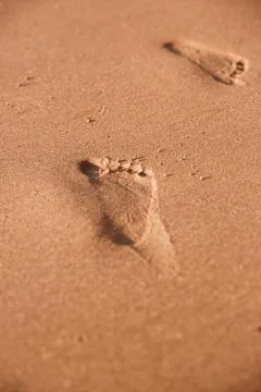 Footprints Stock Photos
