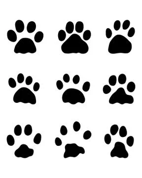 Footprints of rabbits Stock Illustration