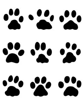 Footprints of rabbits Stock Illustration
