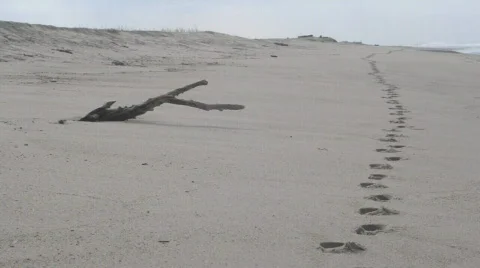 Footprints in sand 2 Stock Footage 627743