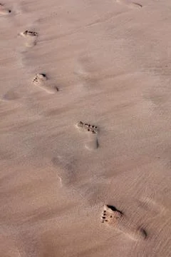Footprints in the sand, Agadir Morocco Stock Photos