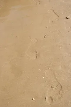Footprints in the sand at the beach Stock Photos