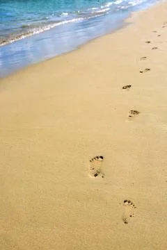 Footprints in the sand on the beach . Stock Photos