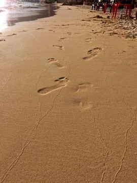 Footprints in the sand on the beach Stock Photos