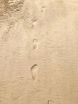 Footprints in the sand on a beach with soft waves Stock Photos