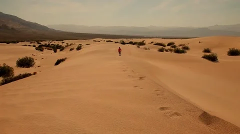 Footprints in the sand in the desert Stock-Footage 43166191