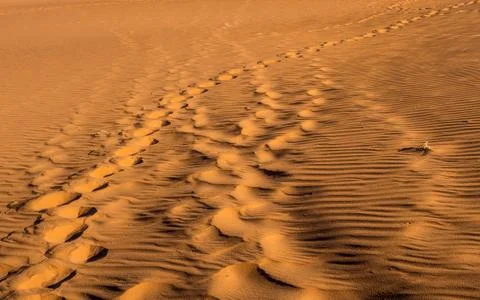 Footprints in the sand dune Stock Photos