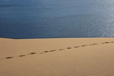 Footprints on the sand dunes Фото
