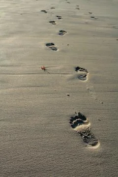 Footprints in the Sand at Dusk Stock Photos