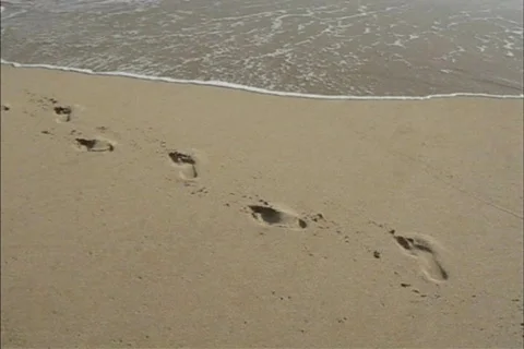 Footprints in the sand Stock Footage 113953