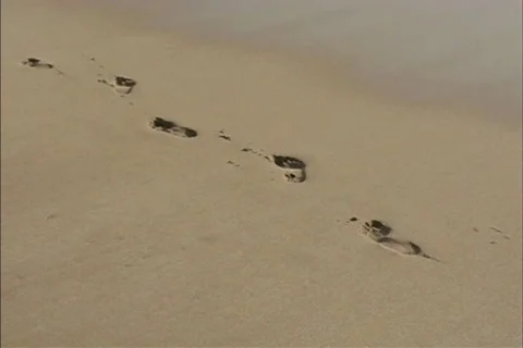 Footprints in the sand  Video stock 114389