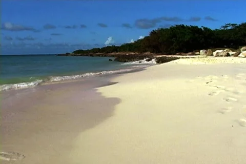 Footprints in the Sand Video stock 136844